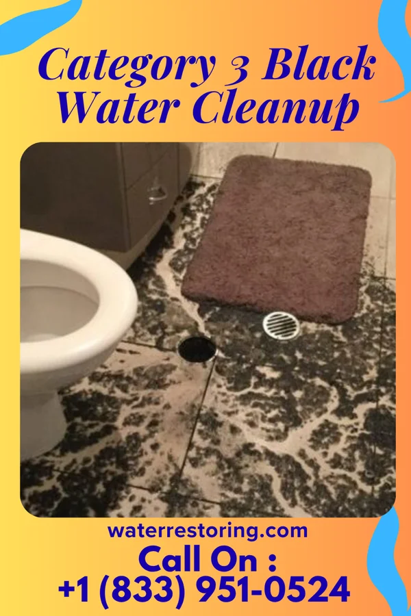 Category 3 Black Water Cleanup in Cottonwood, TX