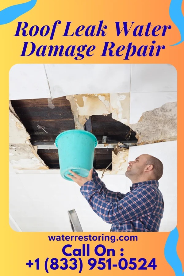 Roof Leak Water Damage Repair in Cottonwood, TX