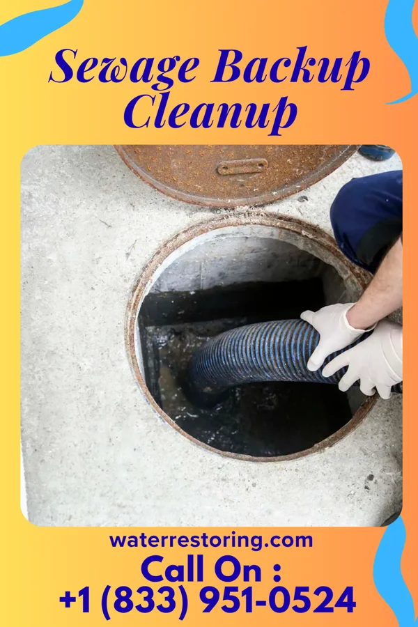 Sewage Backup Cleanup in Cottonwood, TX